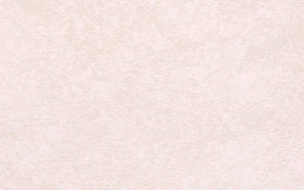 BEIGE PAMPAS