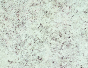 White Juparana | Full Sheet | 4931-38